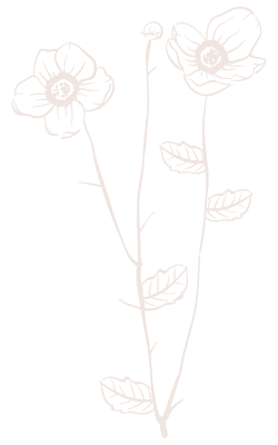 Drie-bloemen-Susanne-Akkermans-Gewoon-Susanne